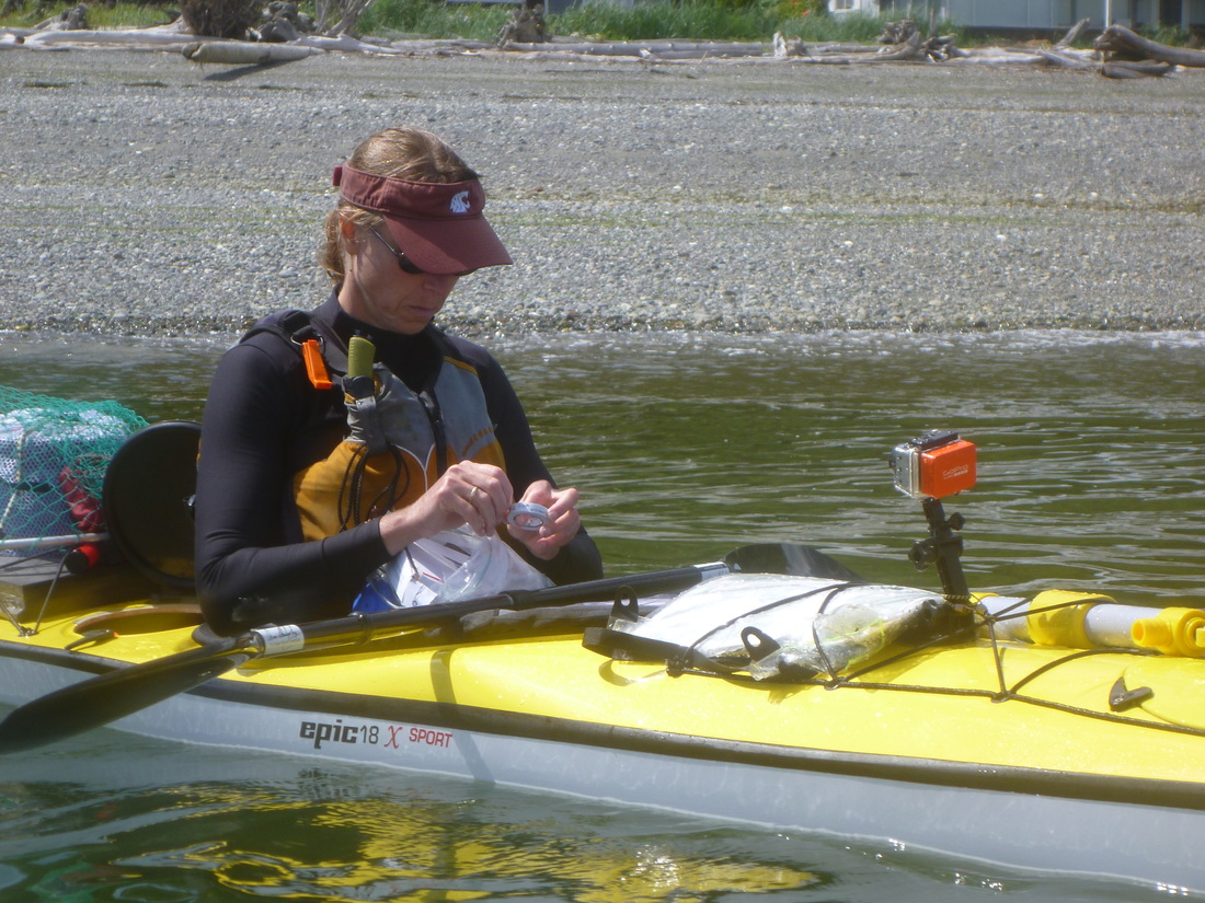 Looking for Harmful Algae Blooms.  Traci and Tracy add some Science to Their Kayaking Adventure